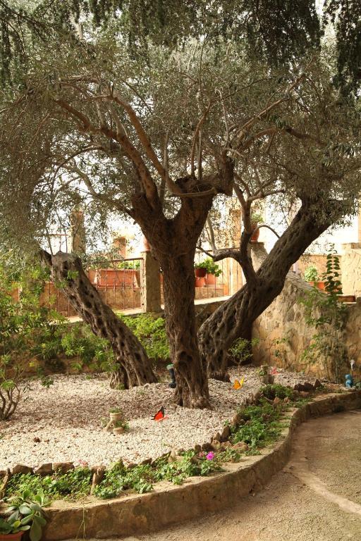 B&B Villa Casablanca 엔나 외부 사진