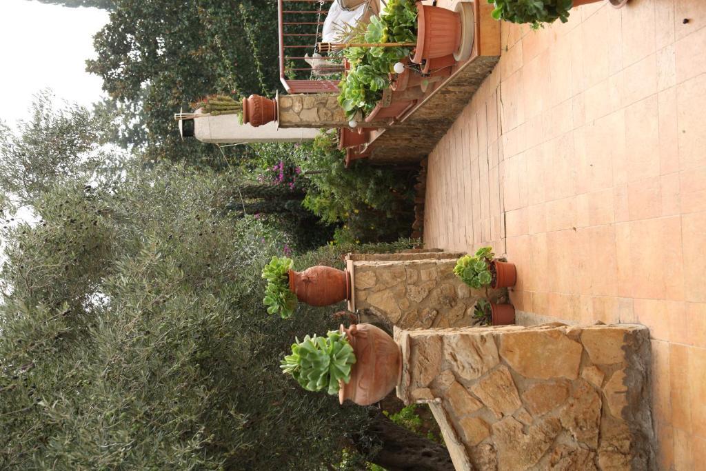 B&B Villa Casablanca 엔나 외부 사진