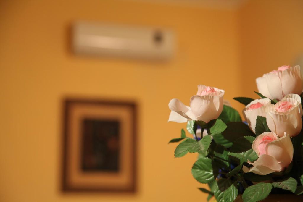 B&B Villa Casablanca 엔나 외부 사진